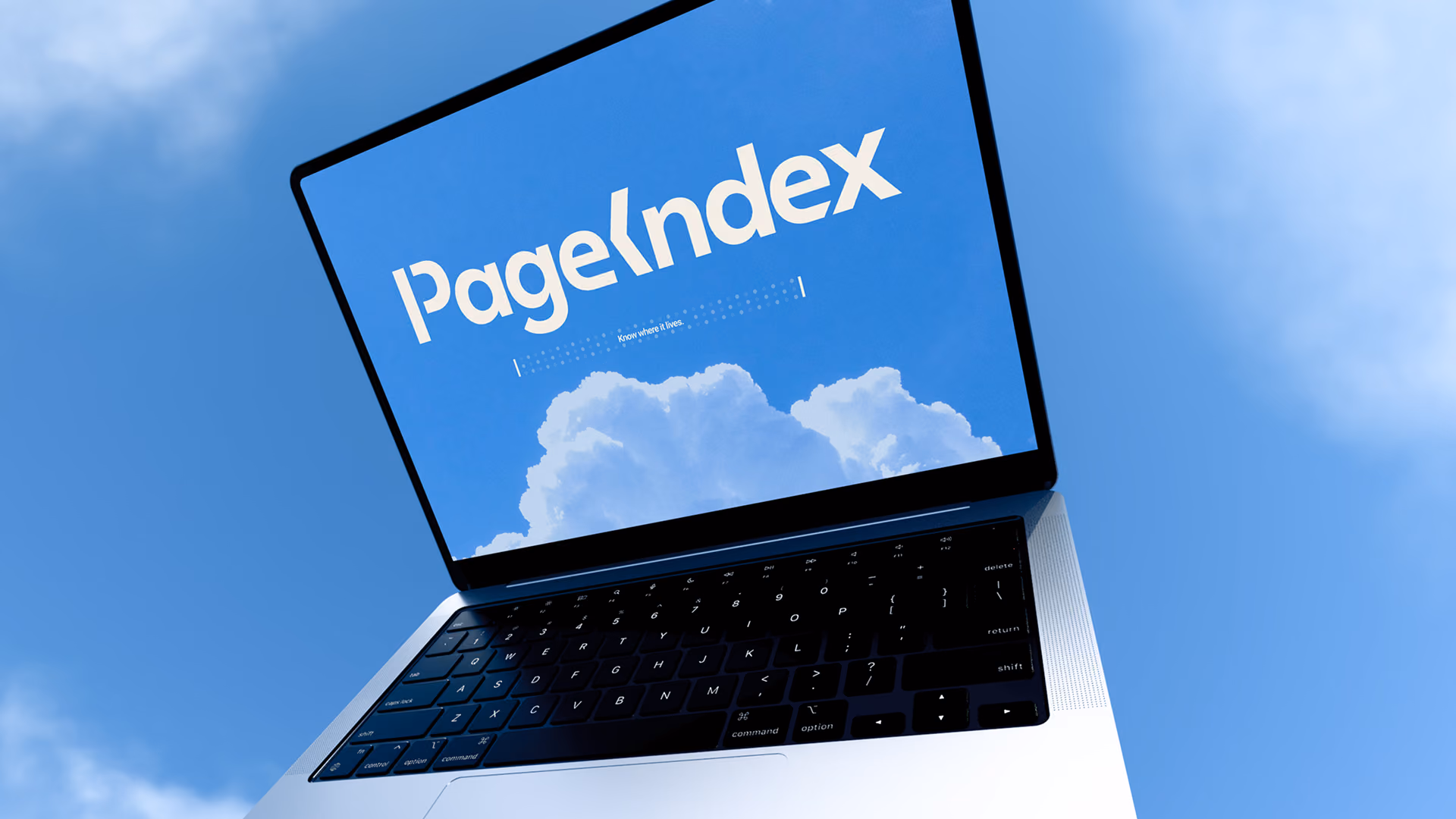 PageIndex